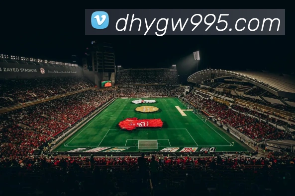 大红鹰平台APP 封面图